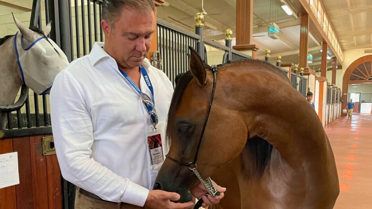 Axel in een paardenstal
